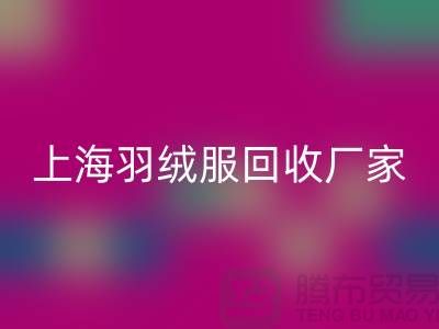 羽绒服mk网页版：环保与经济的双重考量，上海厂家引领行业新风尚