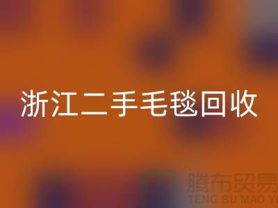 二手毛毯mk网页版，旧物新生的【浙江，上海，江苏】绿色的库存之旅