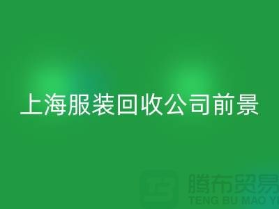 库存辅料mk网页版市场分析表的深入解析及前景展望-上海服装mk网页版公司