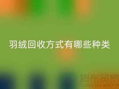 羽绒mk网页版方式有哪些种类？鸭绒专业mk网页版流程详解-上海腾布贸易