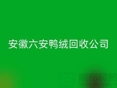 让羽绒mk网页版加工成为绿色产业的新引擎-安徽六安鸭绒mk网页版公司