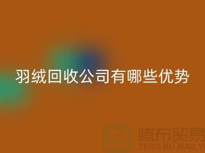 ### 上海羽绒mk网页版公司优势解析：价格公道，服务优质
