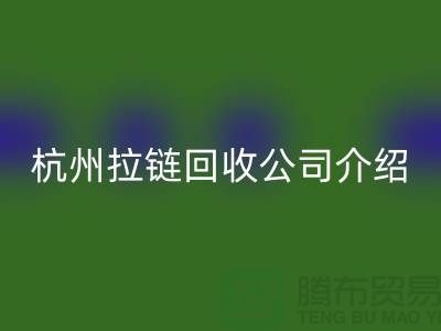 库存拉链mk网页版市场前景分析——杭州拉链mk网页版公司篇