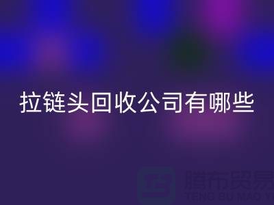 拉链头mk网页版公司有哪些名字或者品牌-上海拉链mk网页版市场