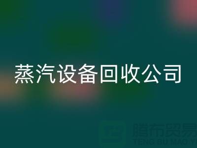 锅炉设备mk网页版厂家：环保与经济效益的完美结合-蒸汽设备mk网页版公司