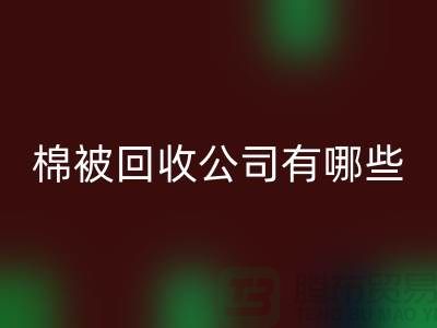 棉被mk网页版公司有哪些—浙江库存面料mk网页版厂家：环保与经济的双重助力