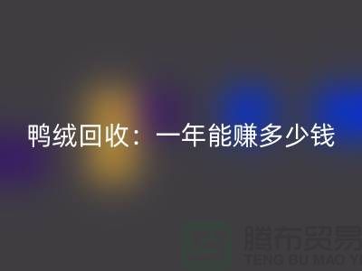鸭绒mk网页版：一年挣多少钱？@上海羽绒mk网页版联系方式揭秘