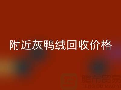 附近灰鸭绒mk网页版价格多少钱一公斤？##上海腾布贸易