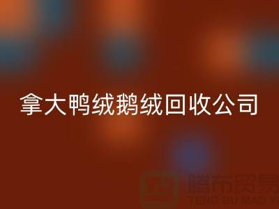 探秘加拿大鸭绒鹅绒mk网页版公司：环保与品质的双重坚守