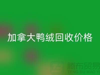 加拿大鸭绒mk网页版价格表最新仅供参考