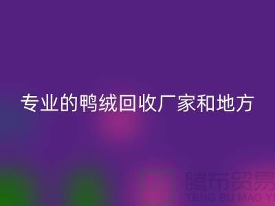 探索鸭绒mk网页版：寻找上海专业的mk网页版厂家与地方