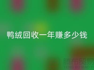 鸭绒mk网页版一年挣多少钱？揭秘利润与环保的双重收益