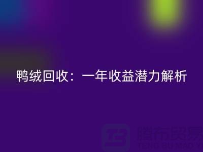 鸭绒mk网页版：一年收益潜力解析@上海腾布贸易