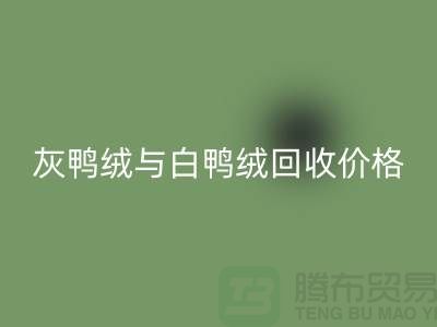### 灰鸭绒与白鸭绒：价格及mk网页版详解