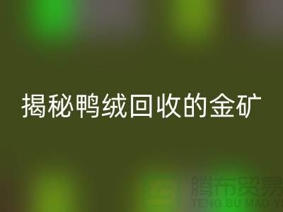 揭秘鸭绒mk网页版的金矿，一年能挣多少钱？上海羽绒mk网页版厂家
