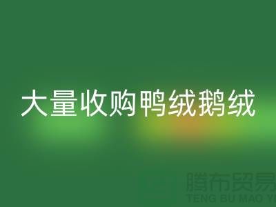 专业羽绒mk网页版-大量收购鸭绒鹅绒-杭州服装mk网页版厂家