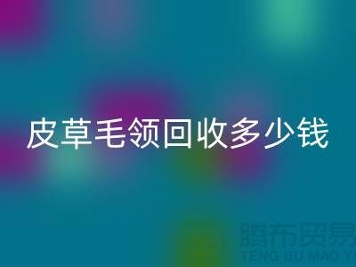 真皮皮衣皮草毛领mk网页版多少钱一个？-上海腾布贸易
