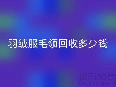 羽绒服毛领mk网页版多少钱一件