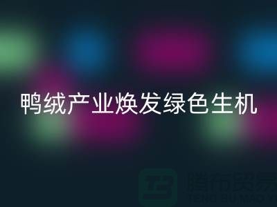 **标题：新国标引领下，杭州鸭绒产业焕发绿色生机**