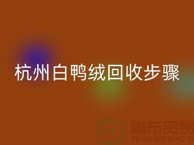 ### 纯白 70 绒、80 绒、90 鸭绒mk网页版步骤@杭州羽绒mk网页版厂家