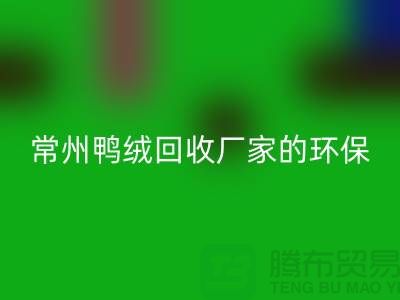 # 专业羽绒mk网页版：常州鸭绒mk网页版厂家的环保与价值之旅