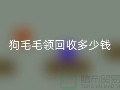 狗毛毛领mk网页版多少钱一条