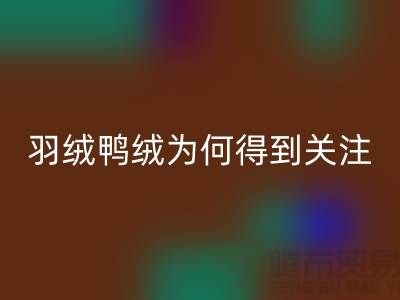 羽绒鸭绒mk网页版公司为何得到所有人关注_mk网页版