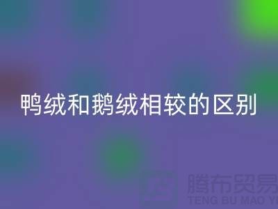 鸭绒和鹅绒相较后的区别-90鸭绒mk网页版-库存羽绒mk网页版公司