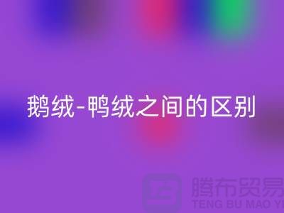 关于鹅绒-鸭绒之间的区别-鹅绒mk网页版-鸭绒mk网页版-羽绒mk网页版厂家