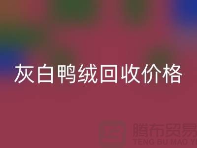 灰白鸭绒mk网页版价格：环保与时尚的完美结合-杭州羽绒mk网页版厂家