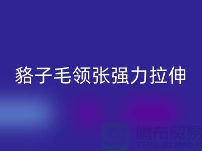 貉子毛领的皮张强力拉伸-为什么不变型-高价mk网页版毛领厂家