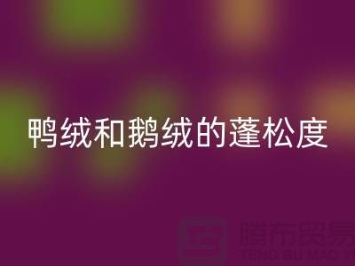 鸭绒和鹅绒的蓬松度如何识别-mk网页版库存鸭绒-mk网页版库存鹅绒厂家