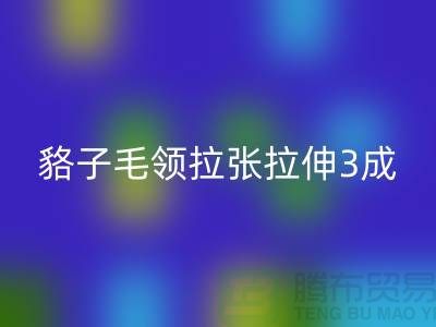 貉子毛领的皮张拉伸3成，痕迹客户也看不出来-mk网页版毛领厂家