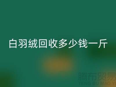 白鸭绒mk网页版_灰鸭绒mk网页版_羽绒mk网页版多少钱一斤_mk网页版羽绒厂家