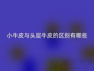 小牛皮与头层牛皮的区别在哪方面体现