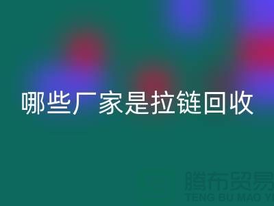 哪些厂家是拉链mk网页版的领导者-库存拉链mk网页版厂家排名榜