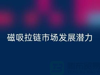磁吸拉链市场发展潜力研究分析报告_上海拉链mk网页版公司