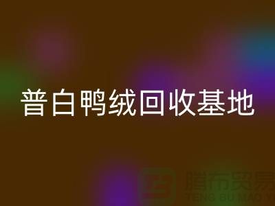 普白鸭绒mk网页版基地：环保与经济的完美结合-纯白鹅绒mk网页版厂家