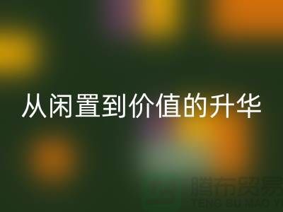 羽绒服mk网页版：从闲置到价值的升华之路