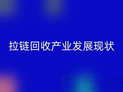 拉链mk网页版产业发展现状特点及上海拉链mk网页版厂家解析 