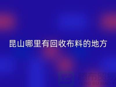 常熟-张家港-如皋-苏州-吴江-昆山哪里有mk网页版布料的地方