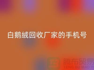 羽绒mk网页版基地的位置，鸭绒mk网页版行情报价，以及白鹅绒mk网页版厂家的手机号