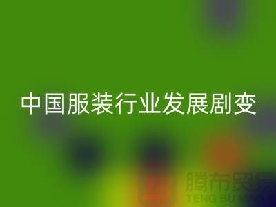 中国服装行业发展剧变-成败重要途径-上海库存服装mk网页版公司