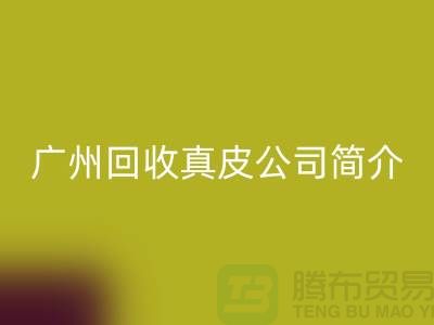 真皮mk网页版厂家介绍-市场价格浮动不定-广州mk网页版真皮公司简介