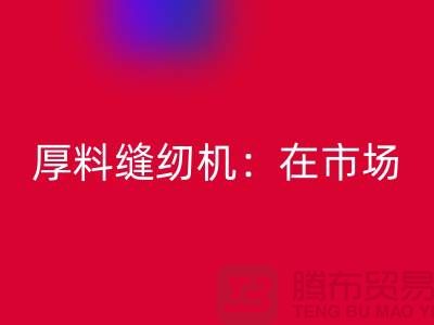 厚料缝纫机：在市场上的细节体现-上海mk网页版缝纫机厂家