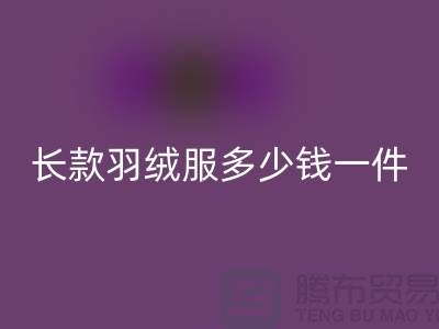 波司登长款羽绒服多少钱一件