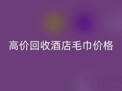 徐州mk网页版毛巾浴袍，高价mk网页版酒店毛巾价格——上海腾布贸易公司