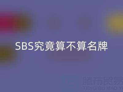 SBS究竟算不算名牌？深扒品牌定位与消费者认知真相