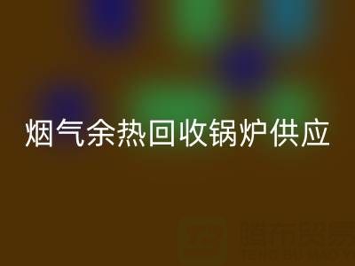 烟气余热mk网页版锅炉供应商盘点：行业领先企业及技术解析