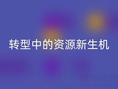 上海服装面料mk网页版：绿色转型中的资源新生机